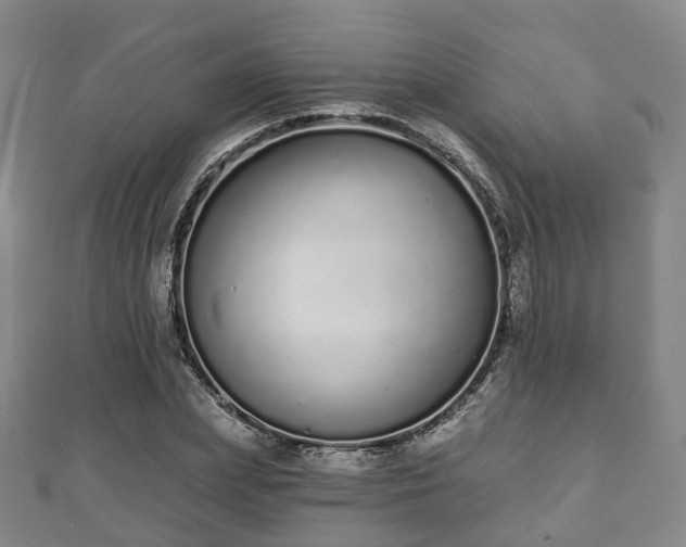 X0000110720831200906191504