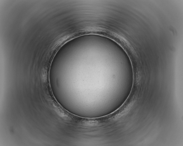 X0000110720833200906191504