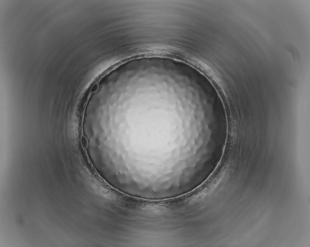 X0000110720835200906191504