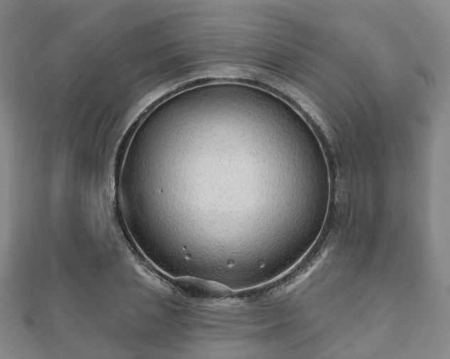 X0000110720837200906191504