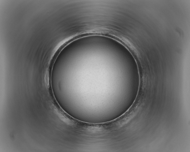 X0000110720838200906191504