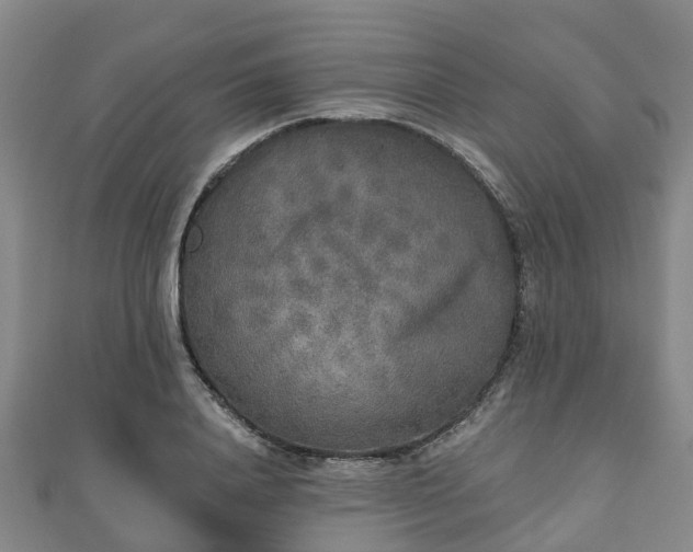 X0000110720840200906191504