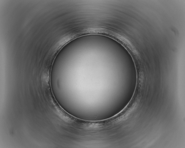 X0000110720841200906191504