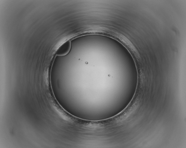 X0000110720842200906191504