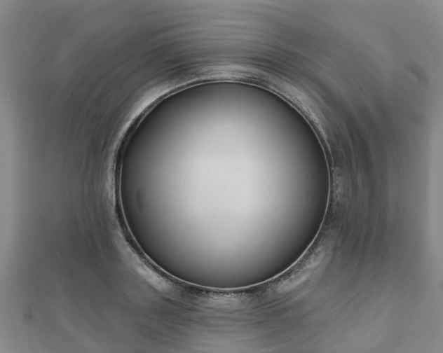 X0000110720843200906191504