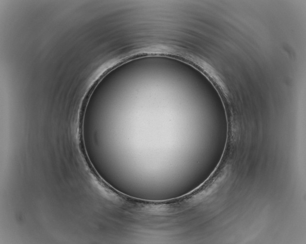 X0000110720845200906191504