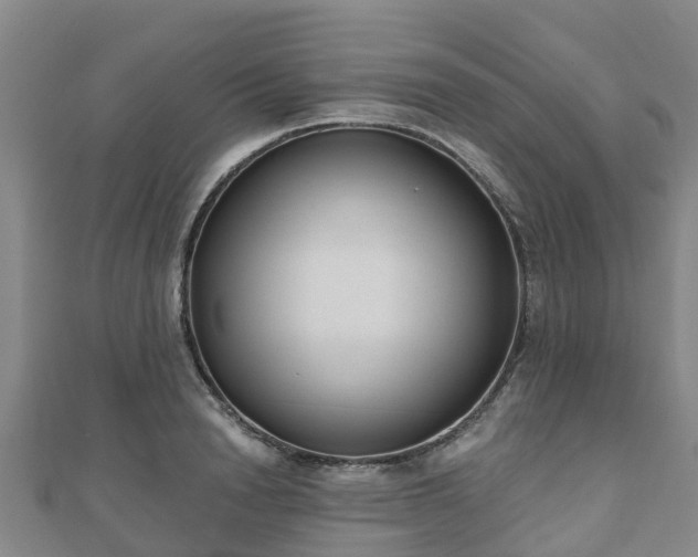 X0000110720846200906191504