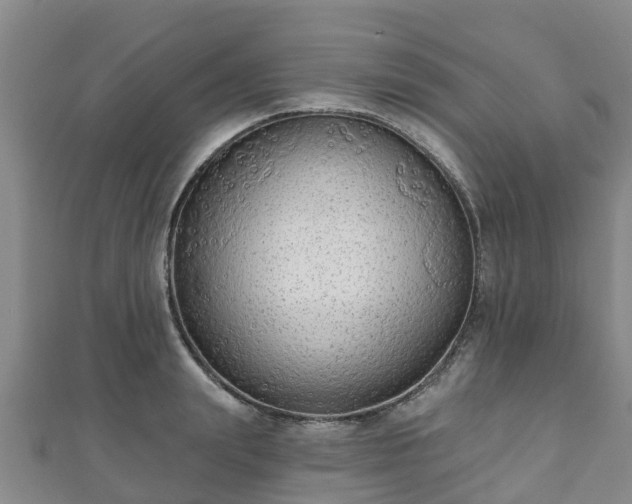 X0000110720847200906191504