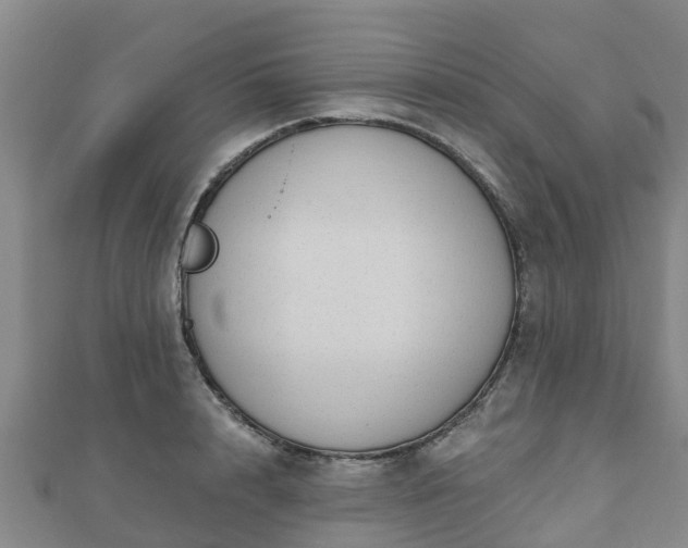 X0000110720848200906191504