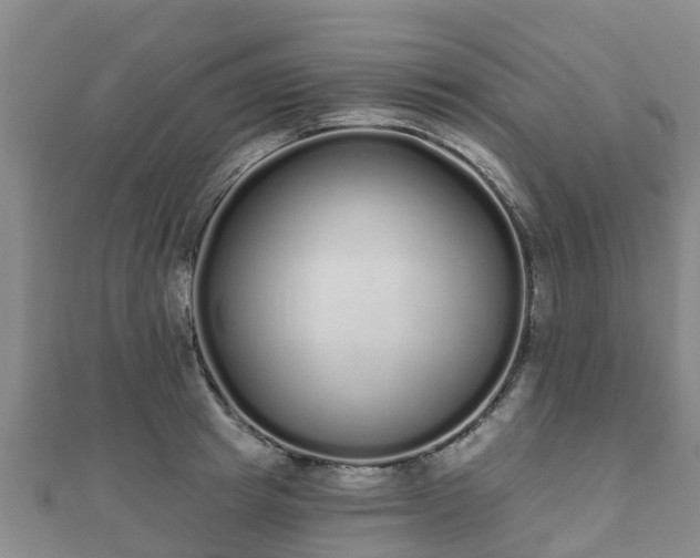 X0000110720849200906191504