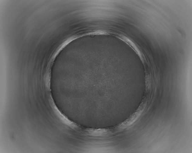 X0000110720851200906191504