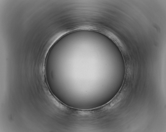 X0000110720852200906191504