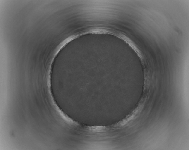 X0000110720853200906191504