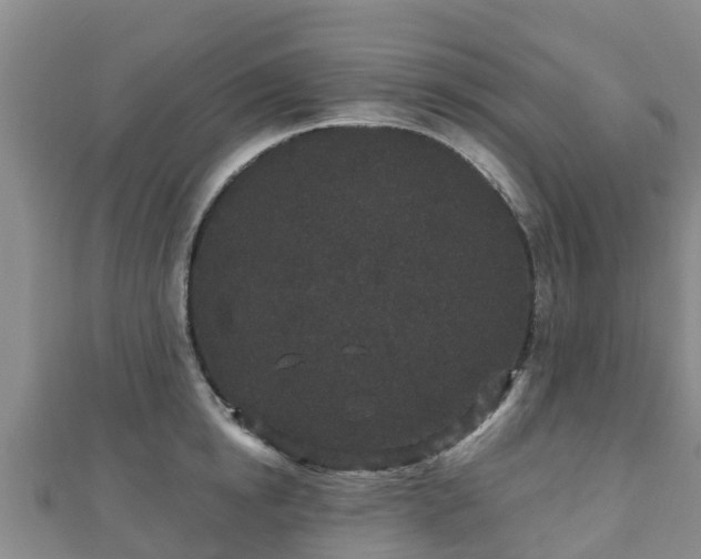 X0000110720854200906191504