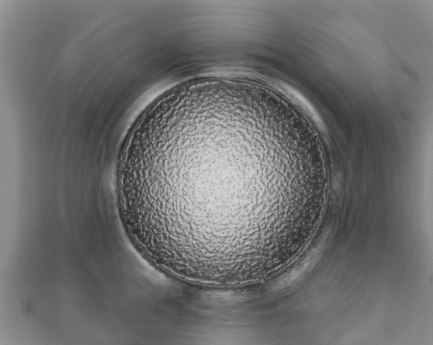 X0000110720855200906191504
