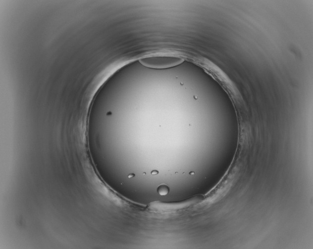 X0000110720860200906191504