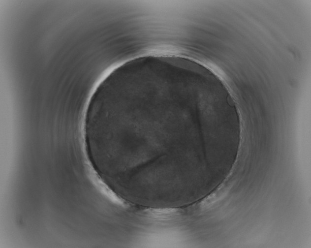 X0000110720864200906191504
