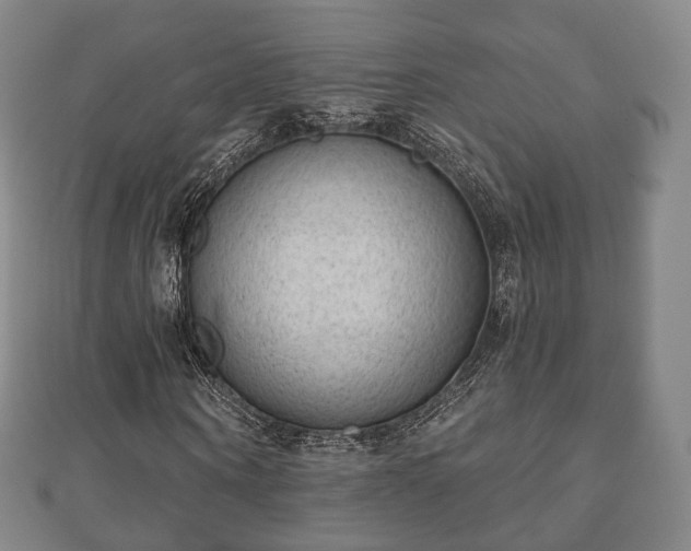X0000110720866200906191504