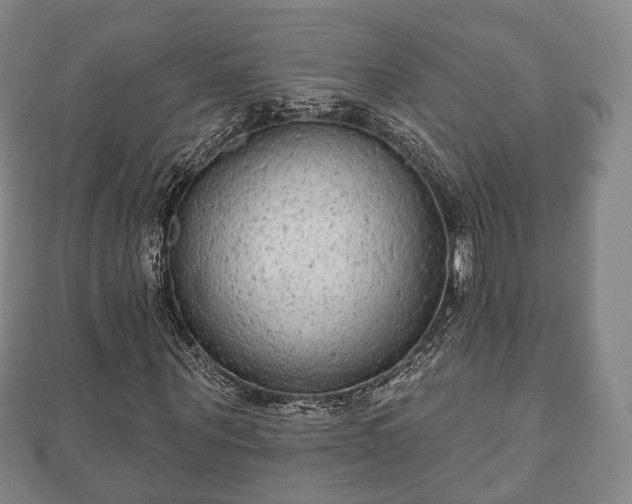 X0000110720867200906191504