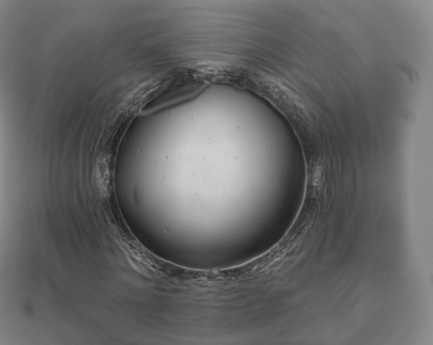 X0000110720868200906191504