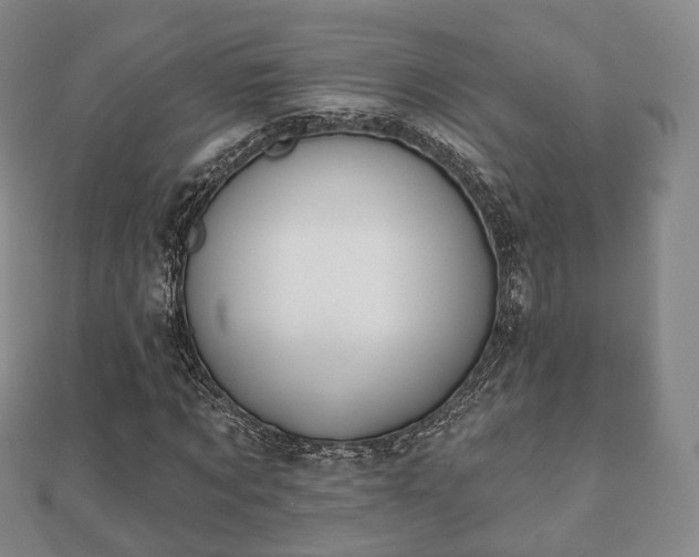 X0000110720869200906191504