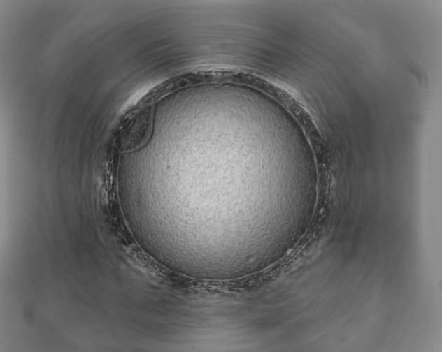 X0000110720871200906191504