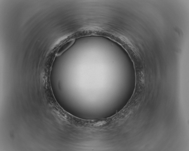 X0000110720872200906191504