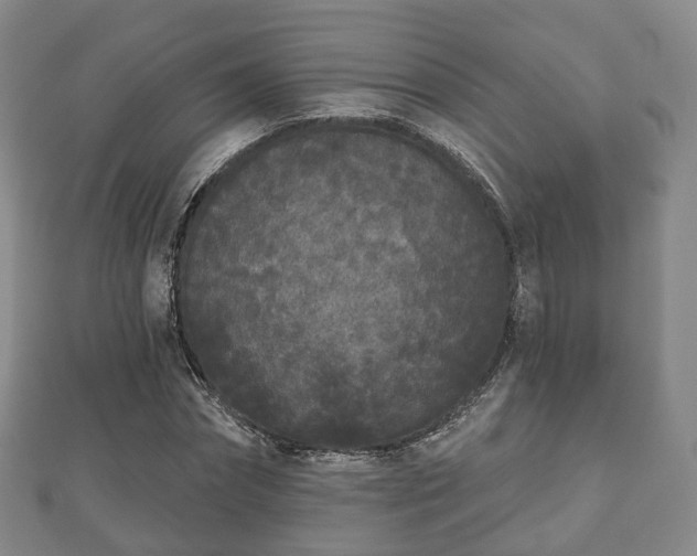 X0000110720874200906191504