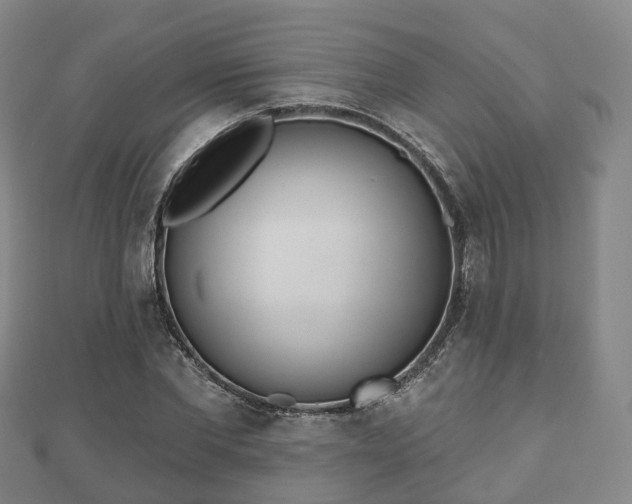 X0000110720877200906191504