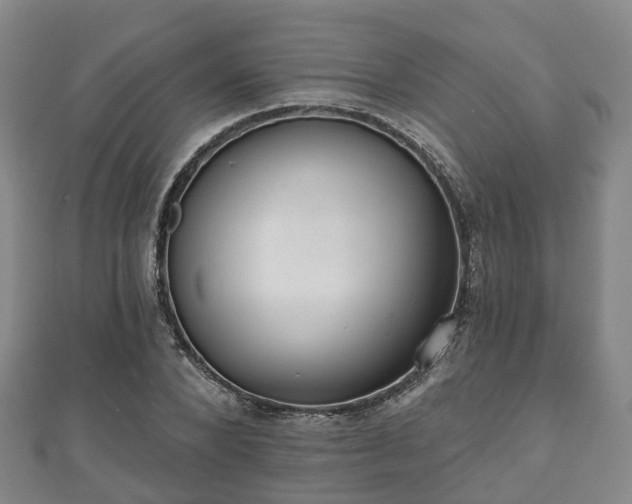 X0000110720880200906191504