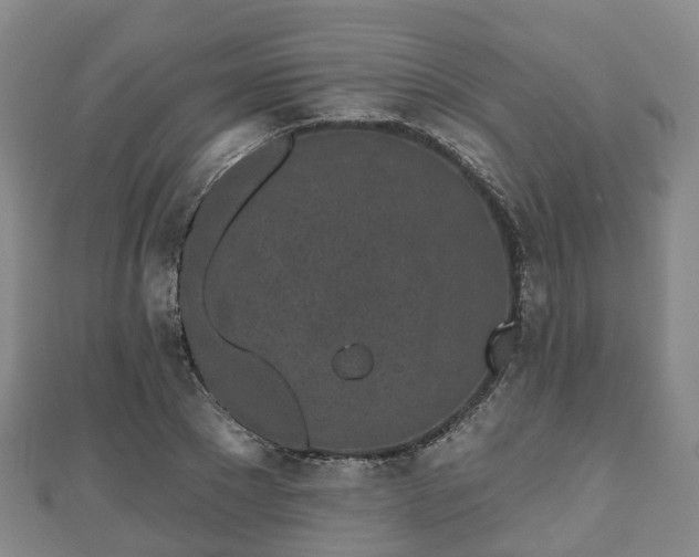 X0000110720881200906191504