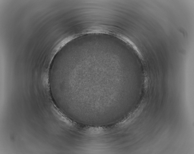 X0000110720882200906191504