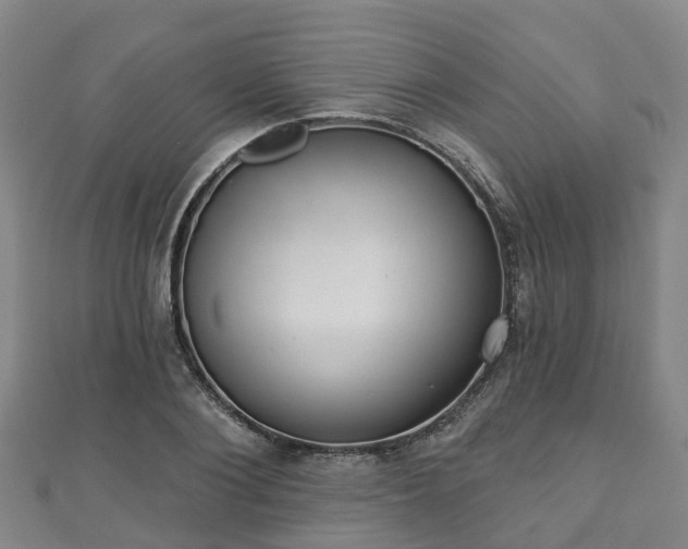 X0000110720884200906191503