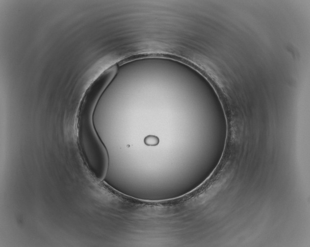 X0000110720885200906191503