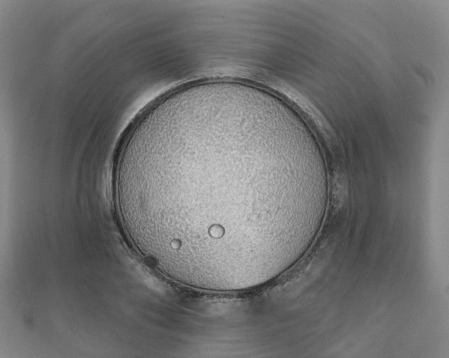X0000110720886200906191503