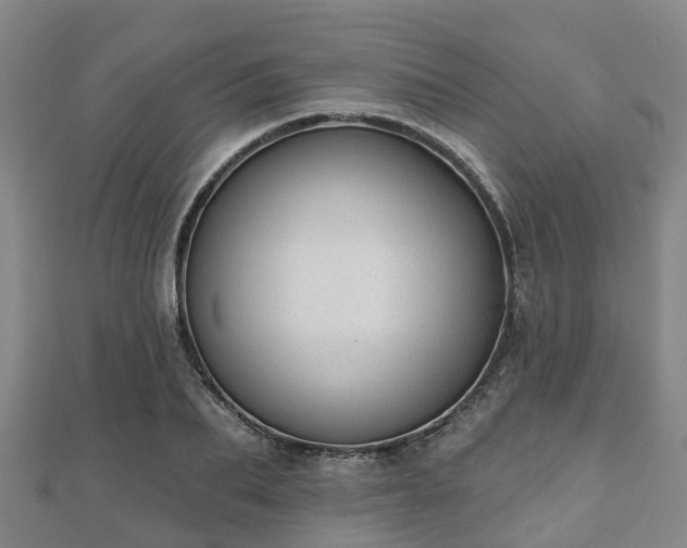 X0000110720887200906191503