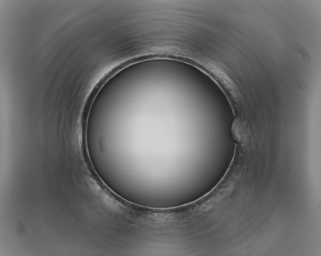 X0000110720888200906191503