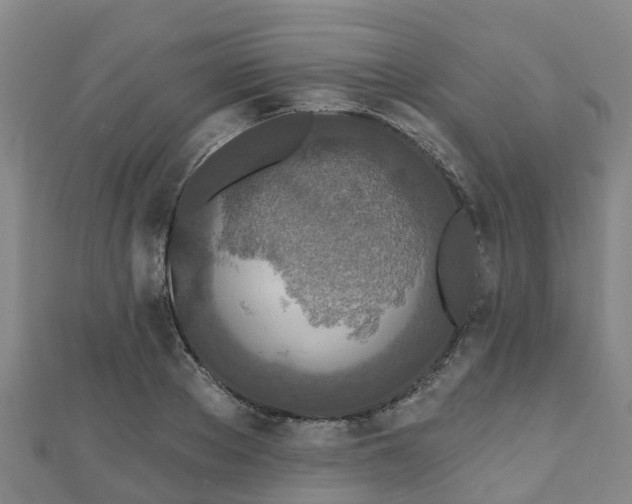 X0000110720889200906191503