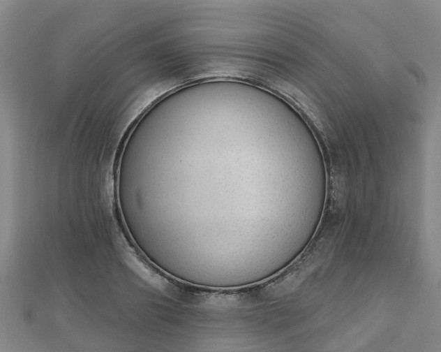 X0000110720890200906191503
