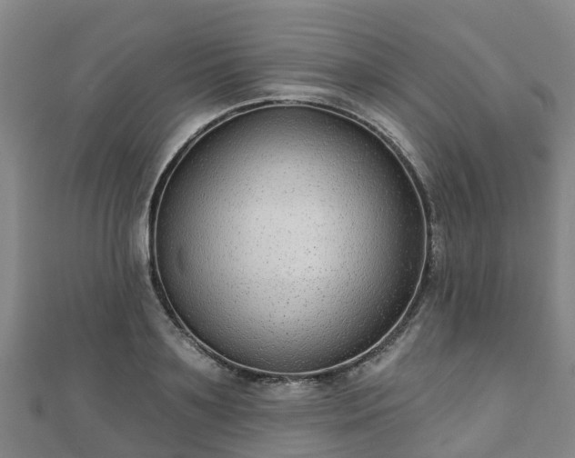 X0000110720891200906191503