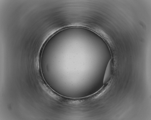 X0000110720892200906191503