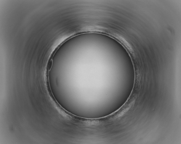 X0000110720893200906191503