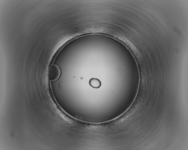 X0000110720894200906191503