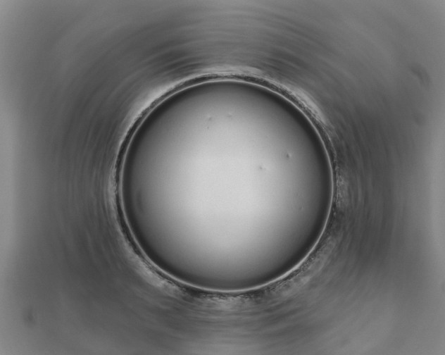 X0000110720895200906191503