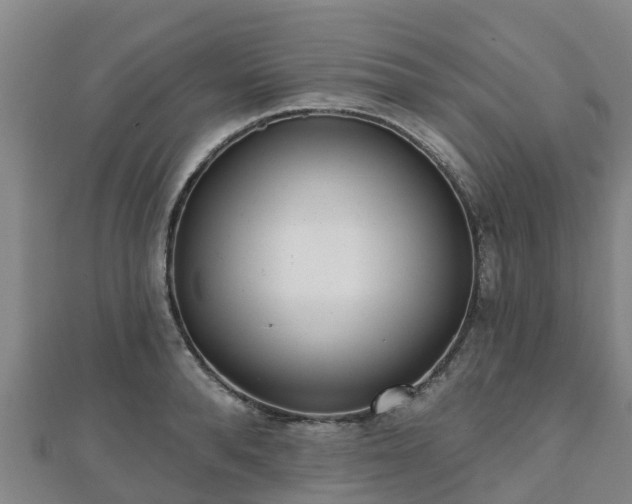 X0000110720896200906191503