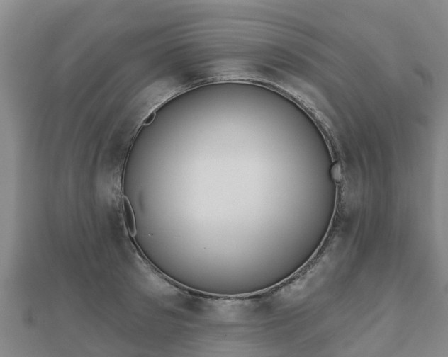 X0000110720897200906191503