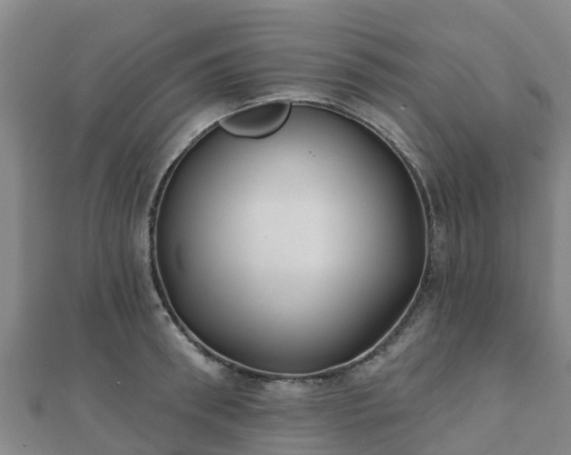 X0000110720898200906191503