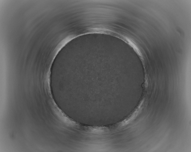 X0000110720899200906191503