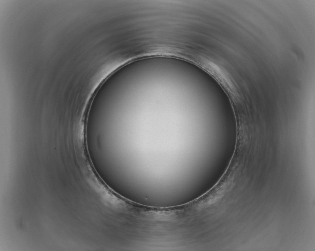 X0000110720900200906191503