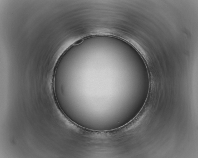 X0000110720901200906191503